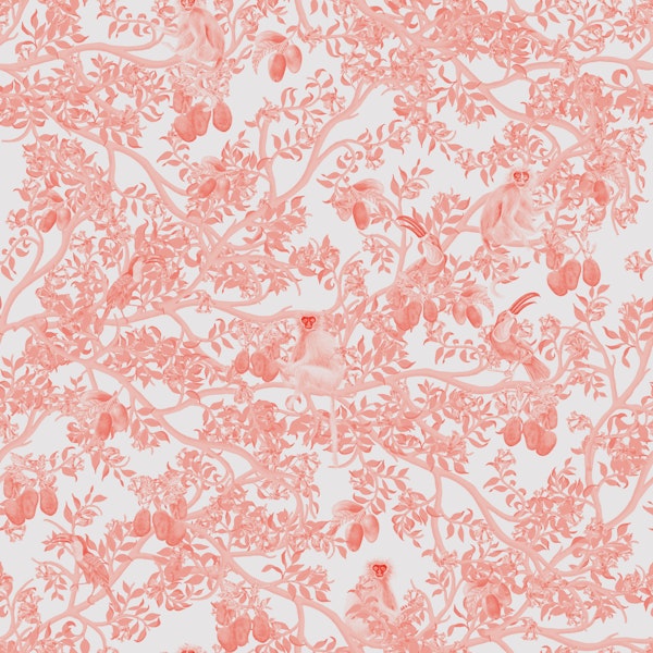 Ariel Toucans Red Toile