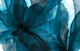 Moody Teal Petals Closeup