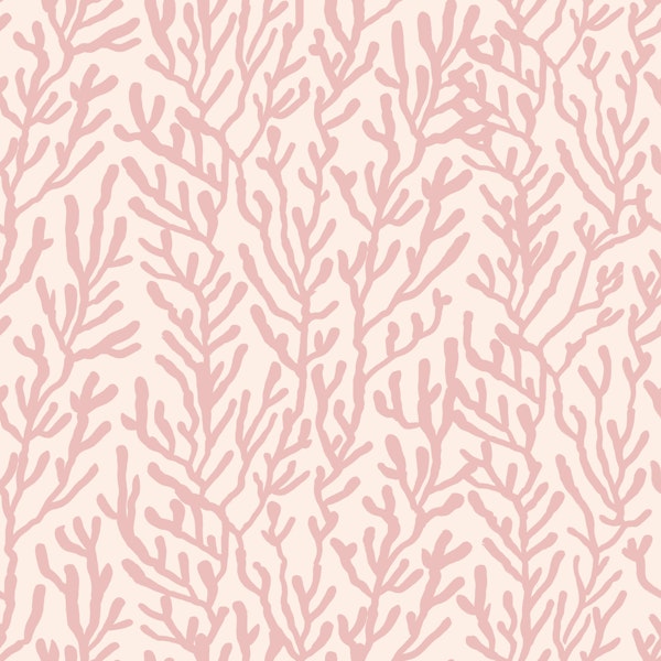 Blush Coral Reef