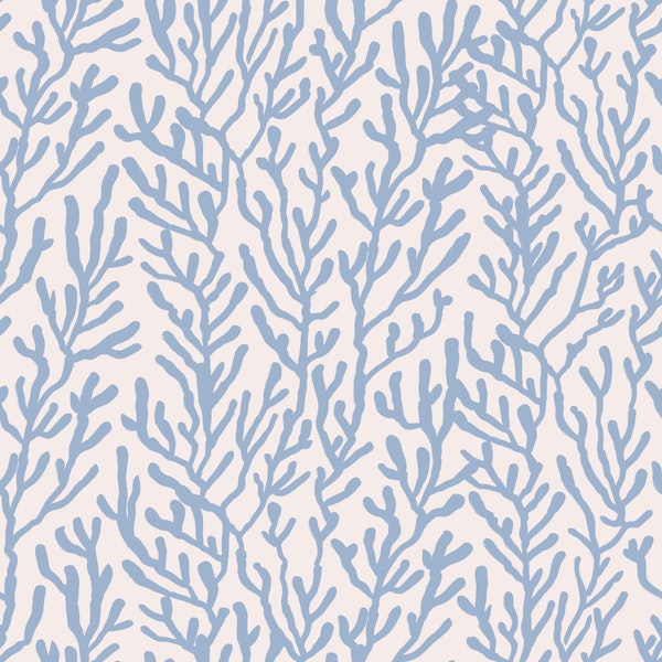 Powder Blue Sea Coral