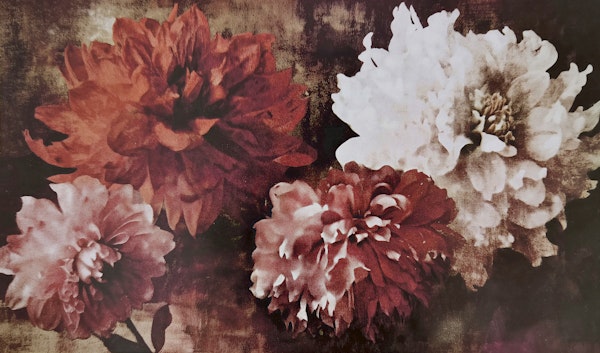 Dark Moody Peony Flowers Mural