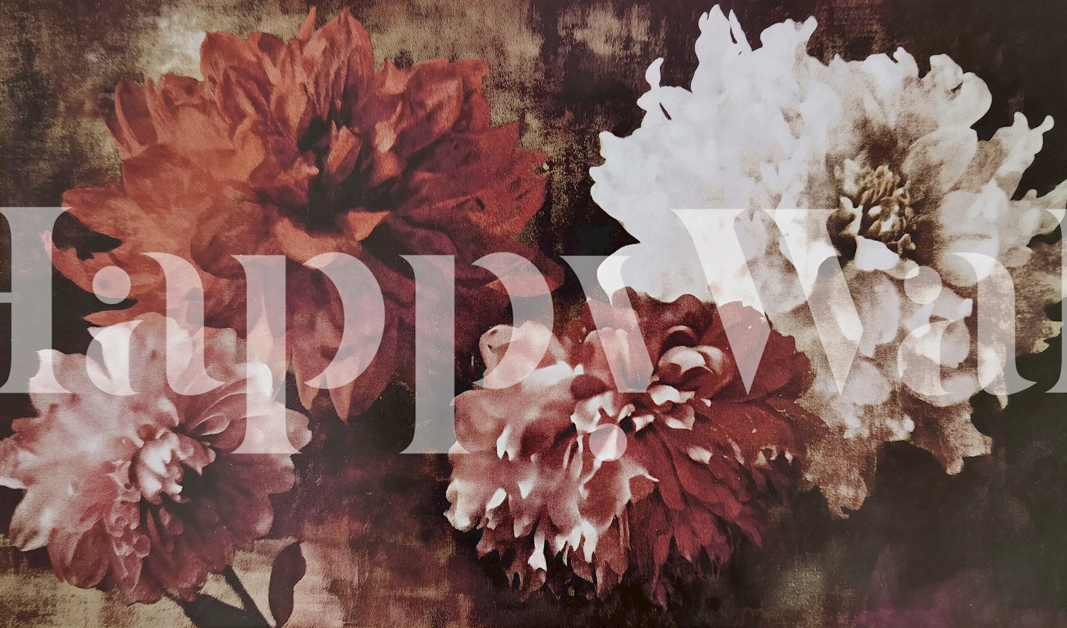 Dark peony flowers mural for interior decor