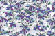 Purple Garden Bloom
