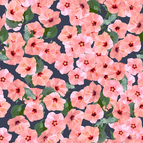 Blush Hibiscus on Navy