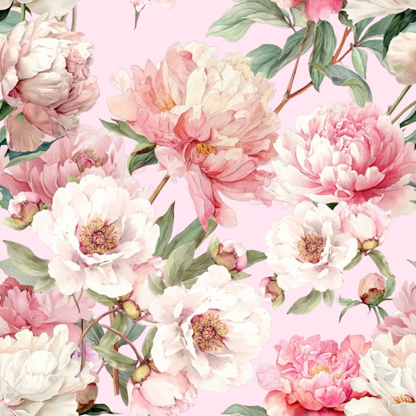 Peony Flower Wall Soft Pink Pattern