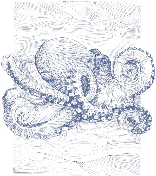 Ocean Octopus Engraving Coastal Blue