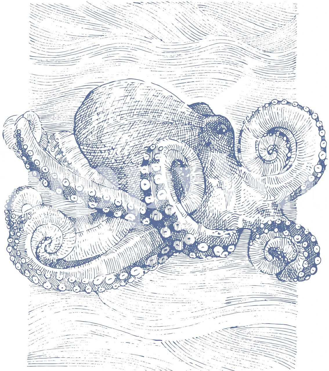 Ocean octopus engraving wallpaper in a room