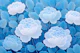 Peony Bloom Garden Blue