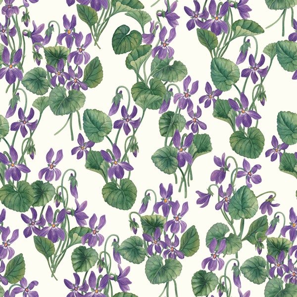 Watercolor violets