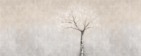 Hanami Cherry Blossom