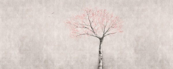 Hanami Cherry Blossom Pink