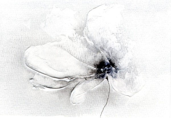 Modern White Floral Serenity