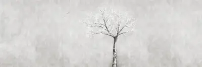 Horizontalus raštas