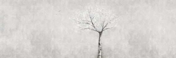 Hanami Cherry Blossom Grey