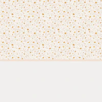 Cottagecore Daisy Wainscot Design wallpaper