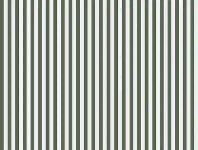 Horisontalt mønster