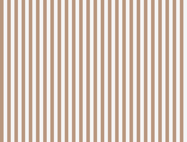 Stripes Vertical Neutral