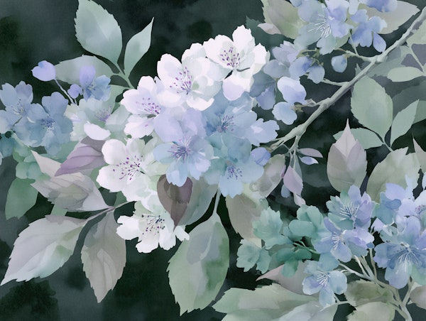 Midnight Cherry Blossoms