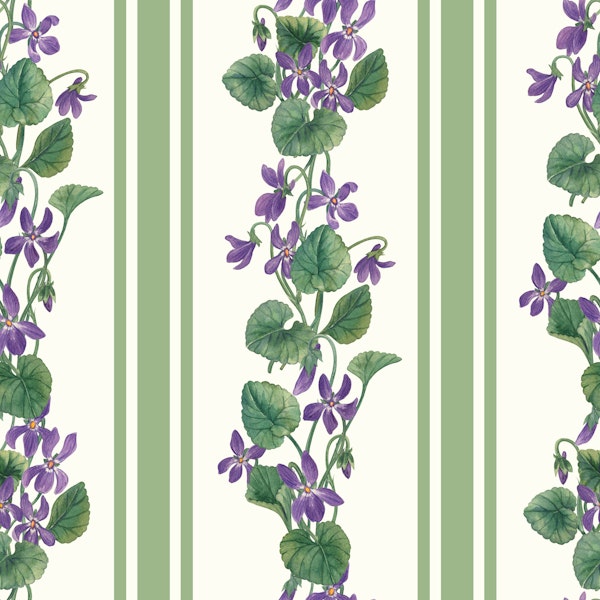 Stripes and violets green and violet