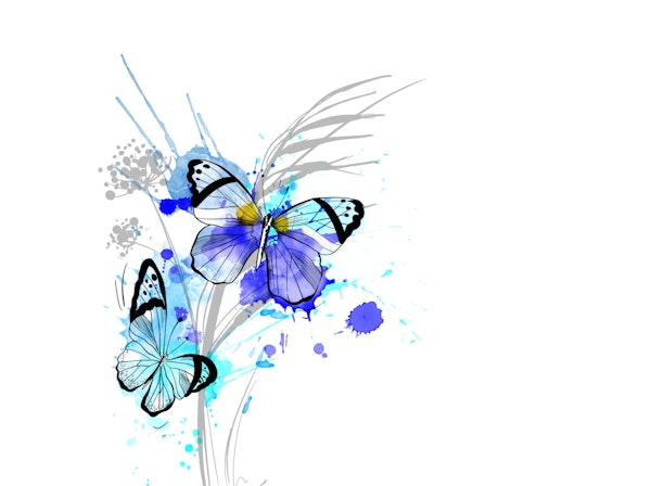 Modern Butterfly Splash Art