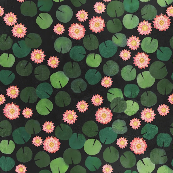 Water Lily Pond Night Bloom