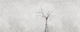 Hanami Cherry Blossom Grey