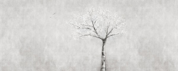 Hanami Cherry Blossom Grey