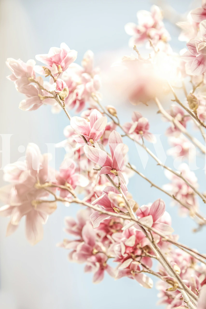 Magnolia Tree - Under The Tree wallpaper