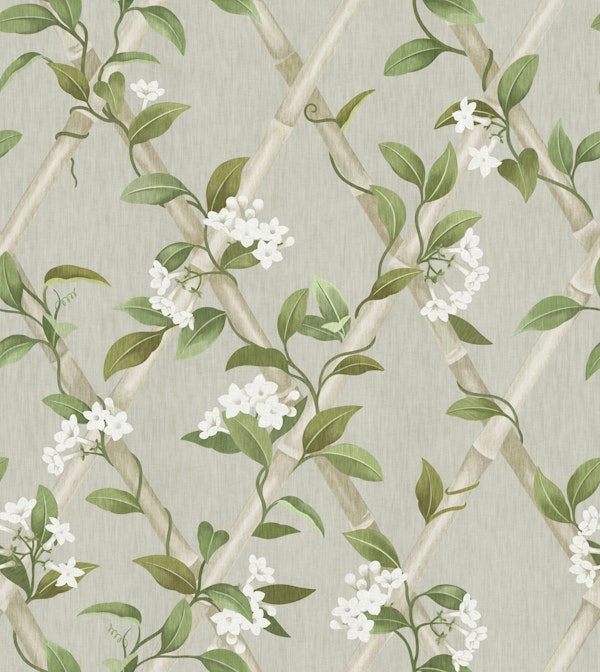 Jasmine Trellis Botanical - Light Natural