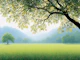 Sunlit Meadow Under Tree Canopy