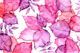 Pink Purple Autumn Leaves