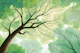 Sunlit Forest Canopy