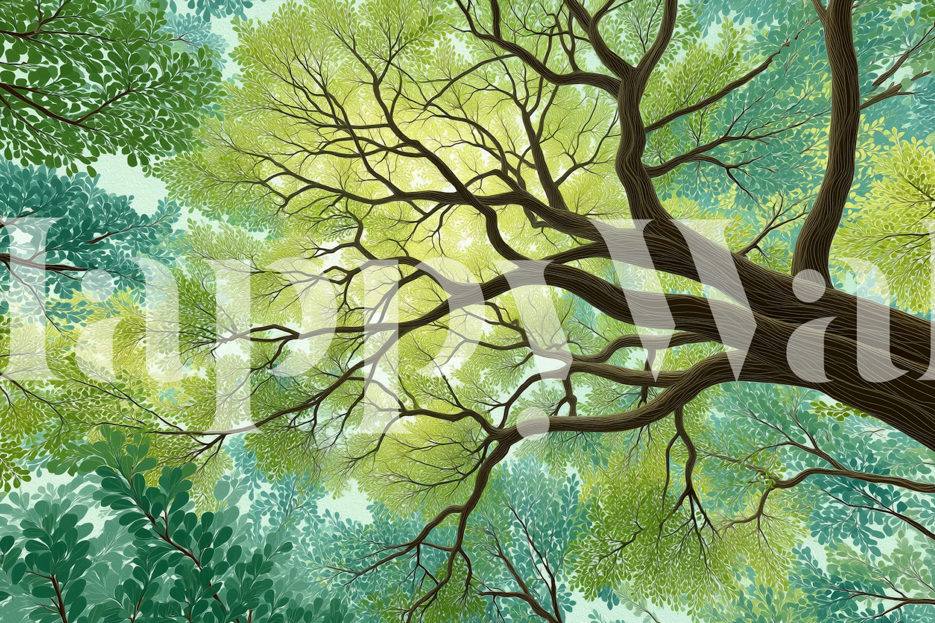 Looking Up Forest Canopy wallpaper