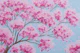 Pink Cherry Blossom Canopy