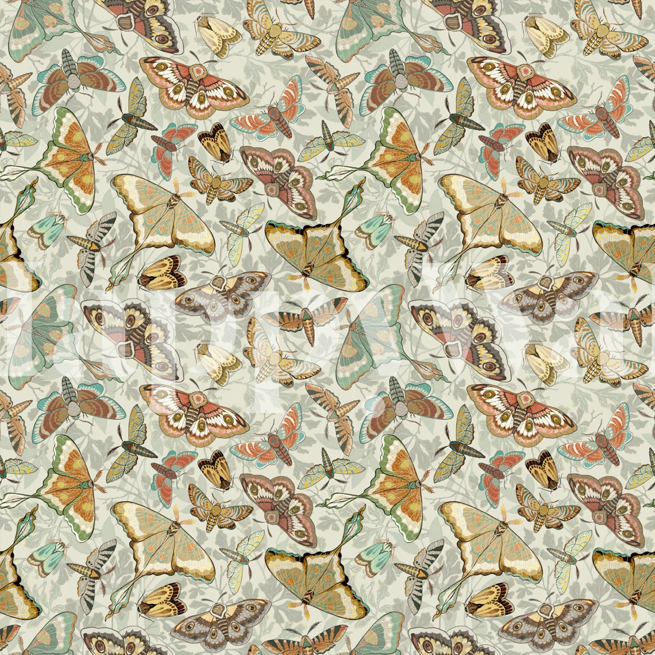 Moths and Butterflies Warm Cream - Happywall