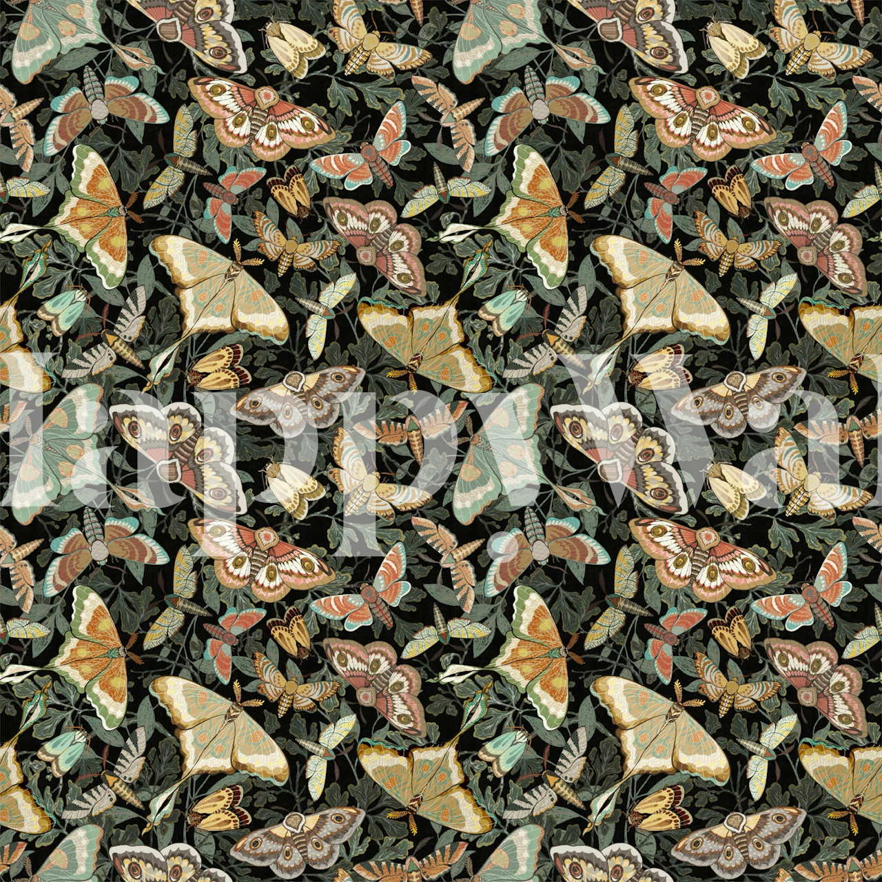 Moths and Butterflies Warm Black | Happywall.com