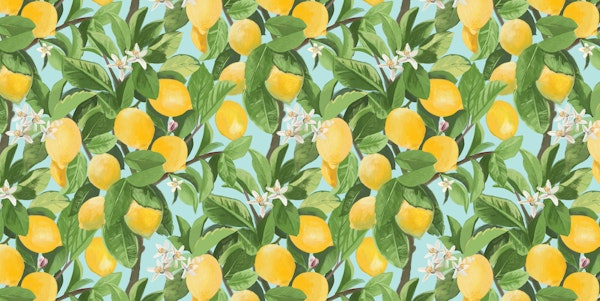 Sunlit Mediterranean Lemons Mural