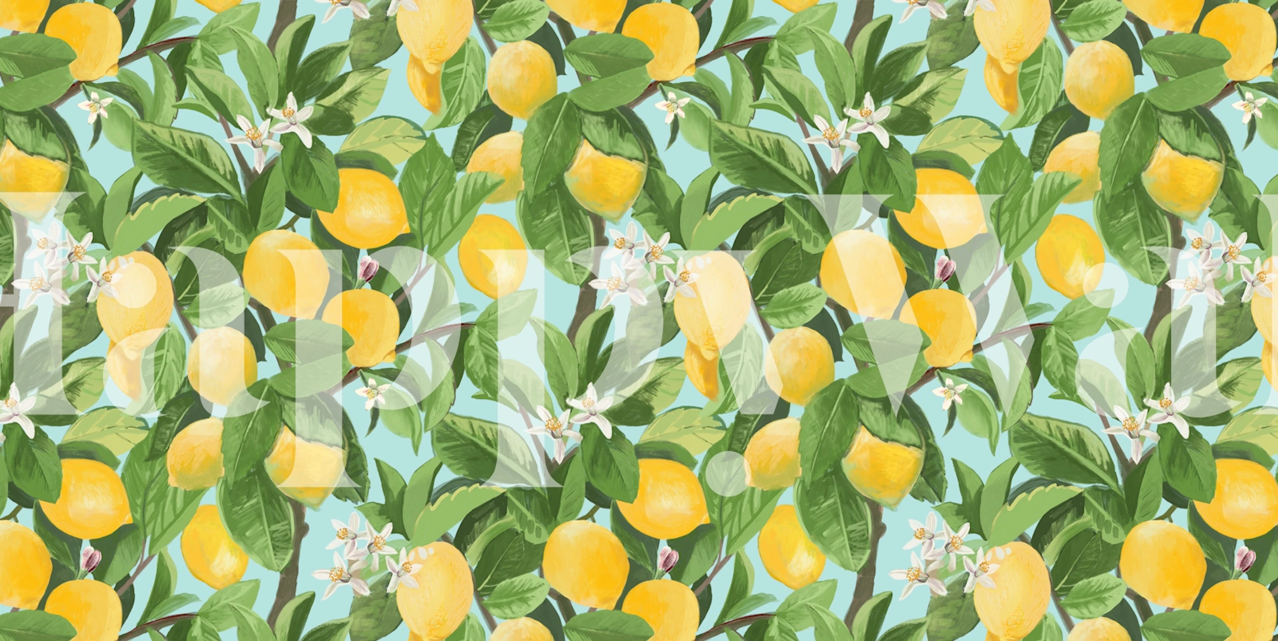 Sunlit Mediterranean lemons wallpaper in a room