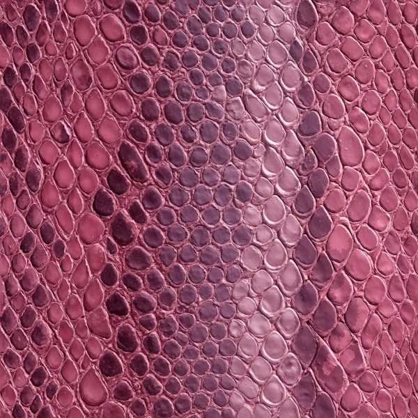 Rose Snake Skin Texture