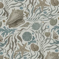 Hand Drawn Kelp and Seashells Mural Warm Gray tapet