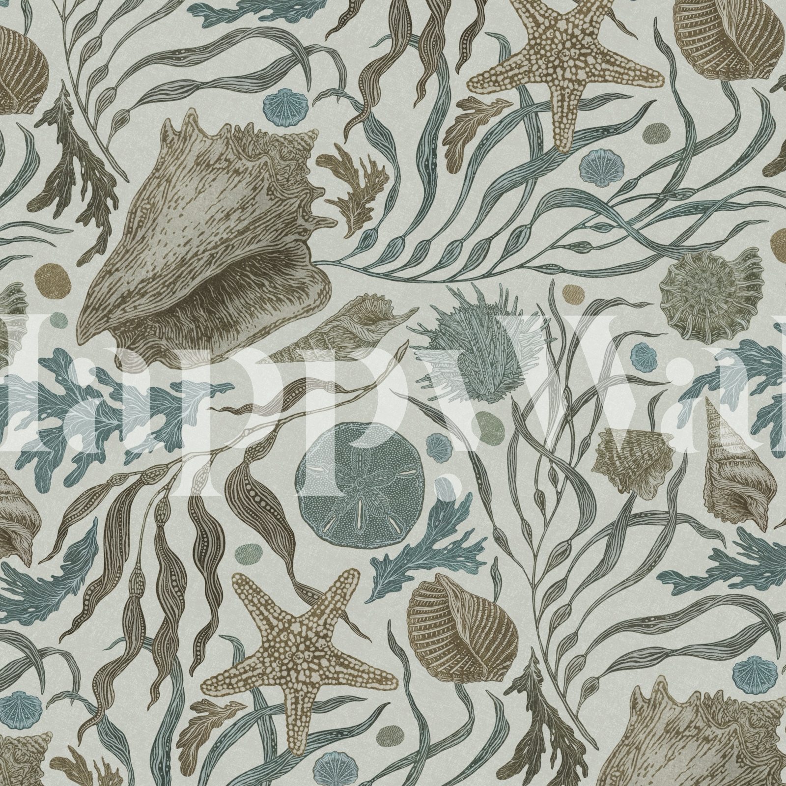 Hand Drawn Kelp & Seashells Mural in a room