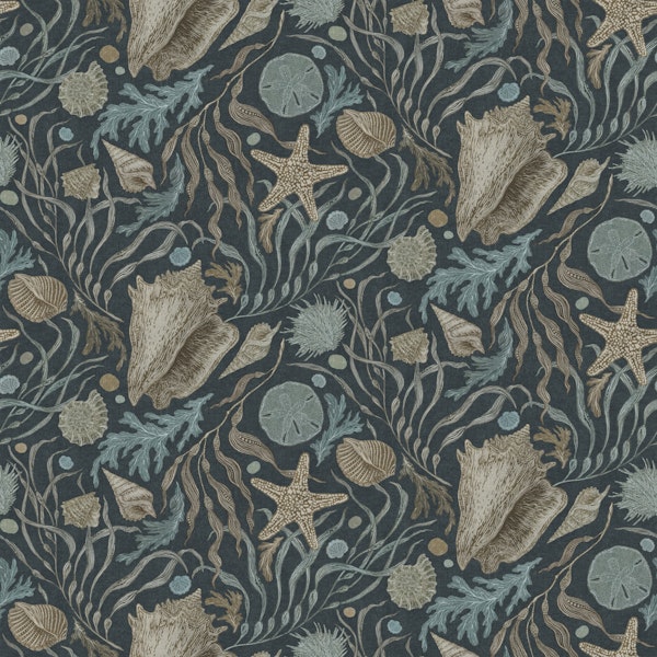 Hand Drawn Kelp and Seashells Navy
