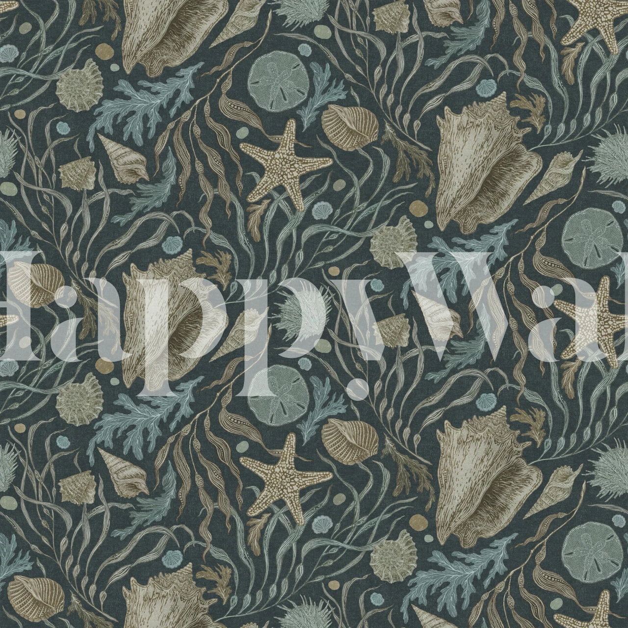 Hand Drawn Kelp and Seashells Navy wallpaper