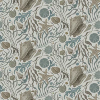 Hand Drawn Kelp and Seashells Warm Gray wallpaper