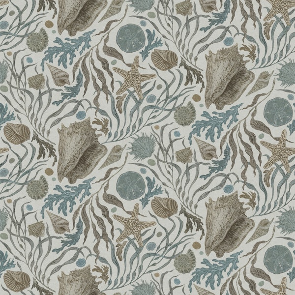 Hand Drawn Kelp and Seashells Warm Gray