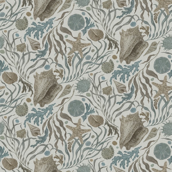 Hand Drawn Kelp and Seashells Warm Gray Small