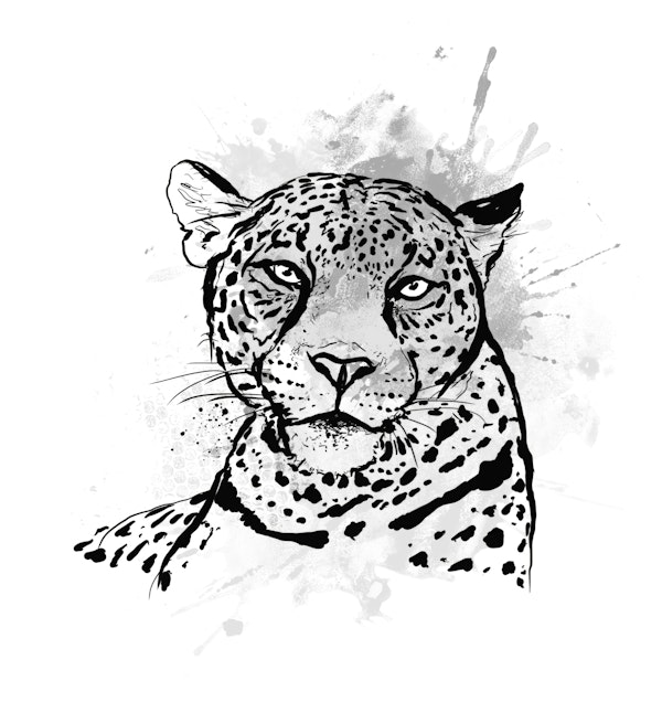 Black and White Leopard Art