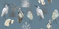 Lagoon Birds in Blue behang