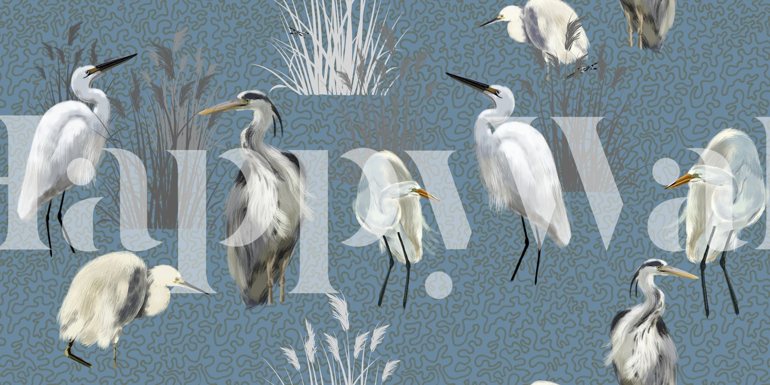 Lagoon Birds in Blue tapet i et rum