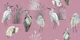 Lagoon Birds in Pink